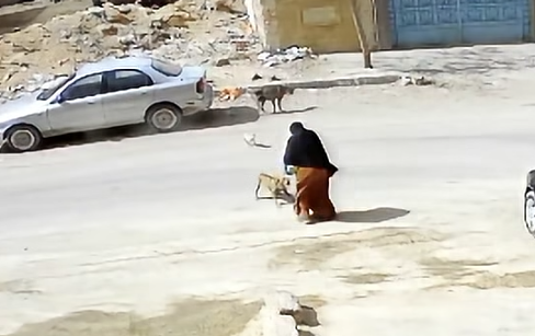 لقطة الشاشة 2026-10-16 100009 لقطة الشاشة 2026-10-16 100009